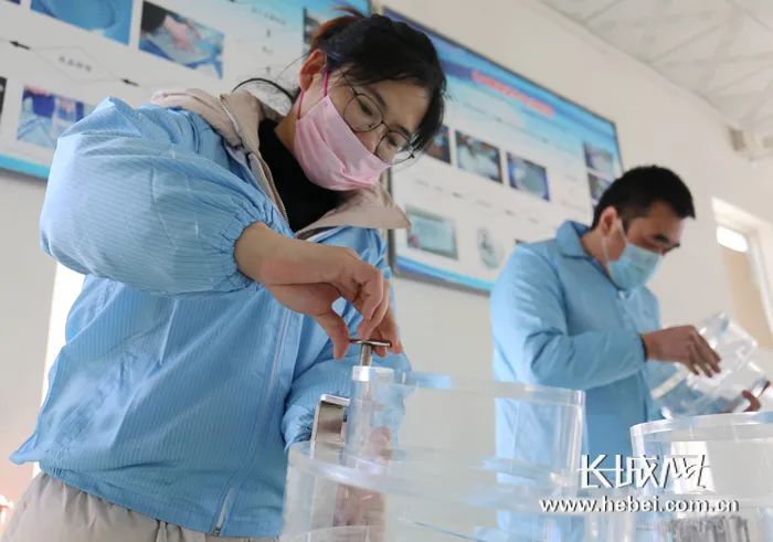 廊坊市恢复复工复产通知,廊坊恢复上班疫情防控工作通知