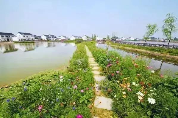 狂飙18级,狂飙18集公路飙车片段在哪