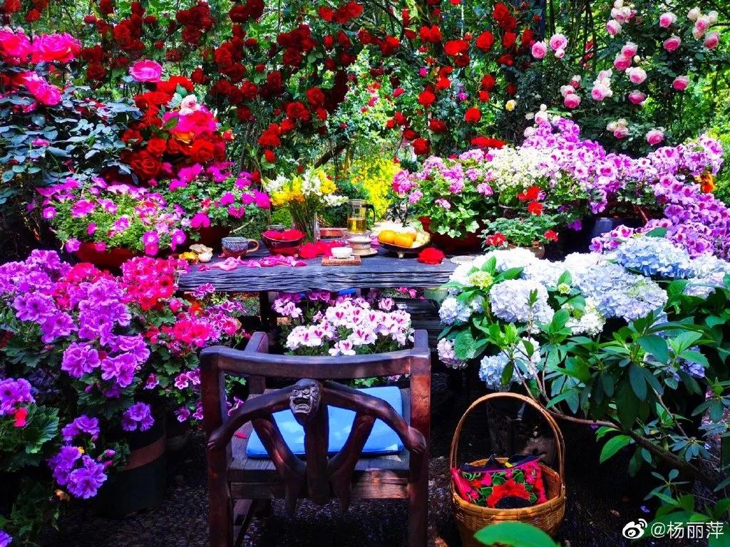 有一种向往叫西双版纳,有一种向往叫诗和远方完整版