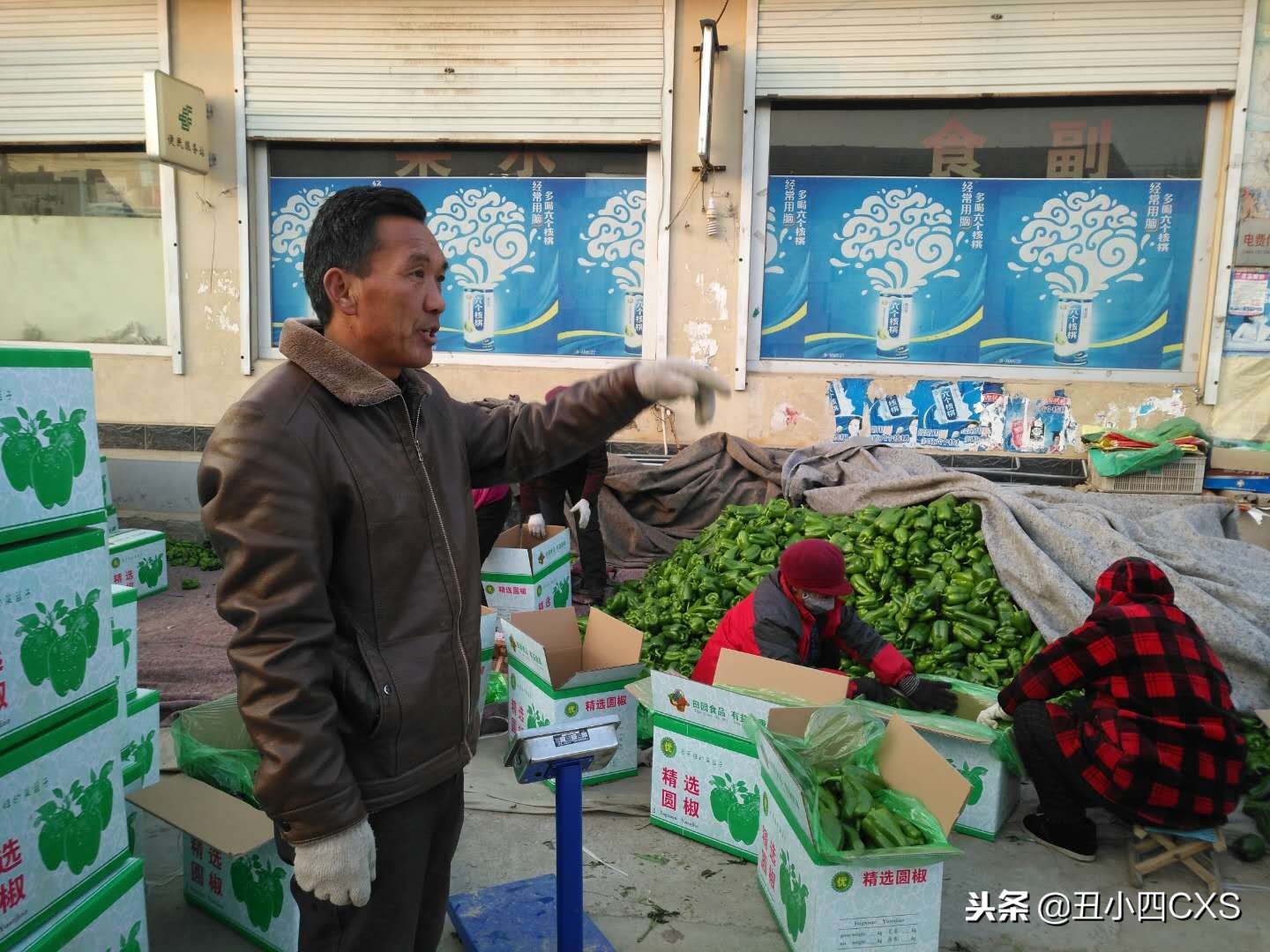 种植大棚一年能挣多少钱,种植大棚一个月能挣多少钱