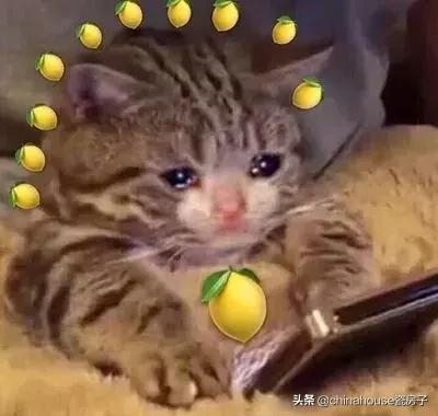 别琢磨怎么学郭碧婷秀钻戒了,在它面前“鸽子蛋”都会黯然失色!