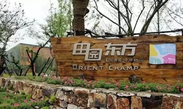 田园东方的成功之处,田园综合体的未来