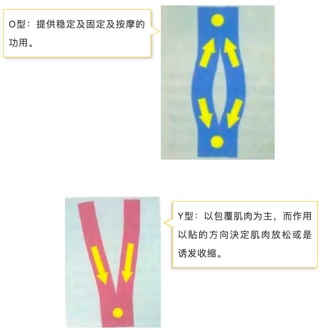 赵辉医生骨科,赵辉医生视频大全