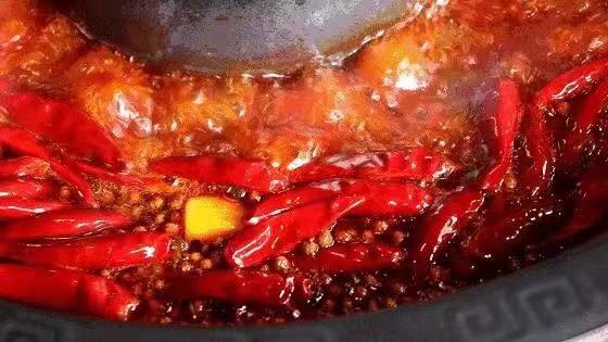 痔疮知识动画讲解,痔疮科普15秒