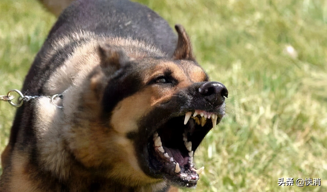 比豆浆还便宜维他奶,比豆浆还便宜又好喝的饮料