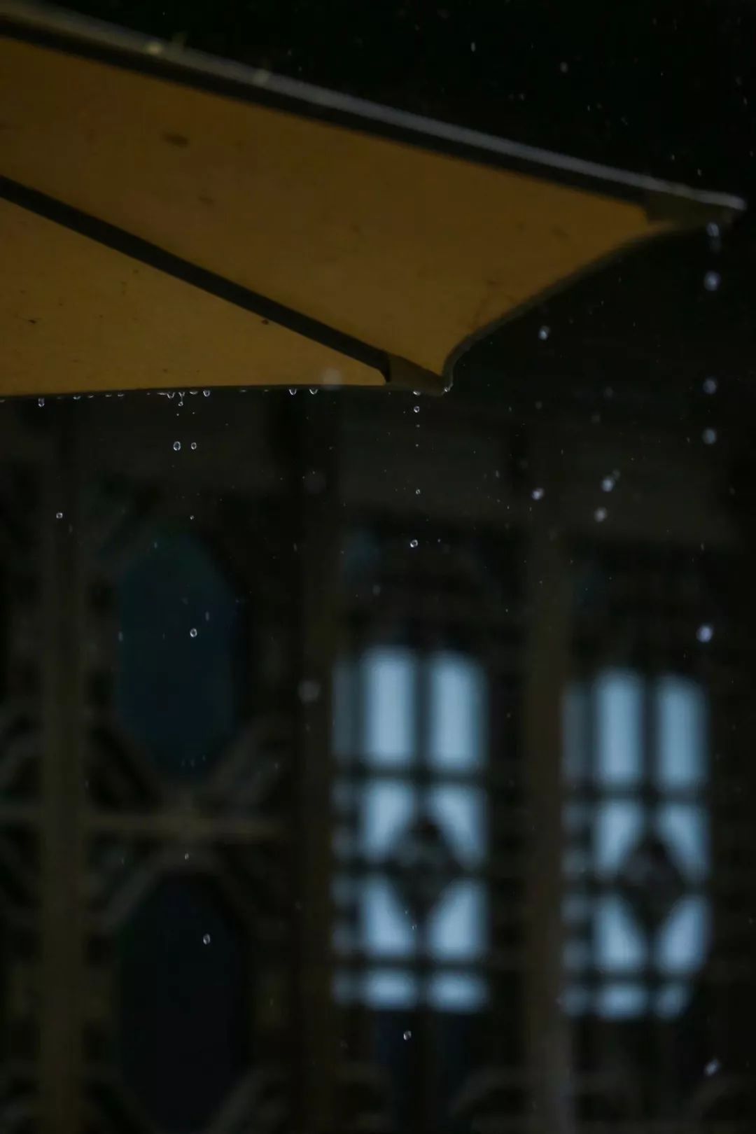 人间有味是清欢苏轼在哪写的,人间有味是清欢苏轼书法作品