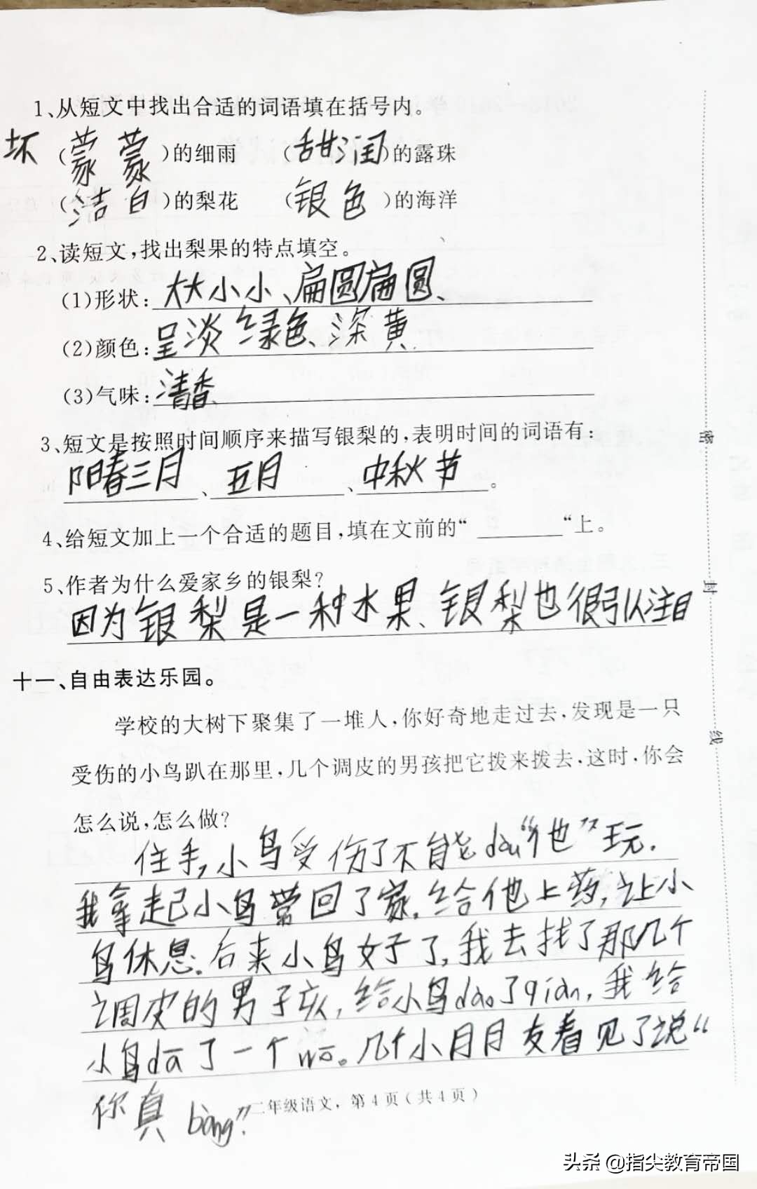 二年级语文看图写话试卷练习,语文二年级期末测试提升卷答案