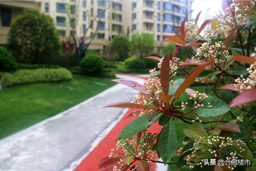 滨湖新区新盘,滨湖新区高档楼盘样板房