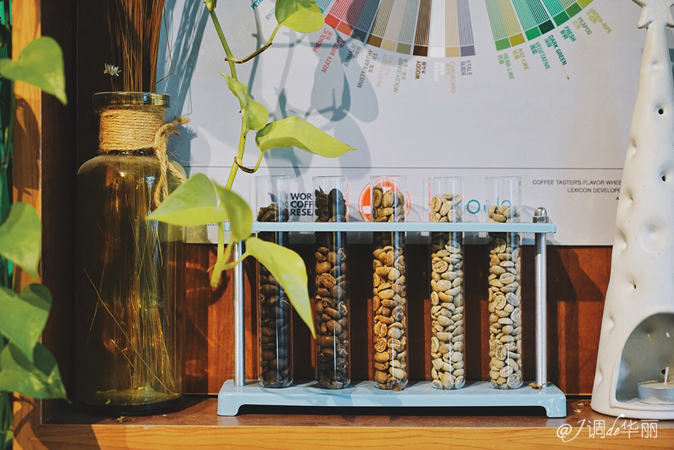 厦门没去过的地方,厦门没去过的景点