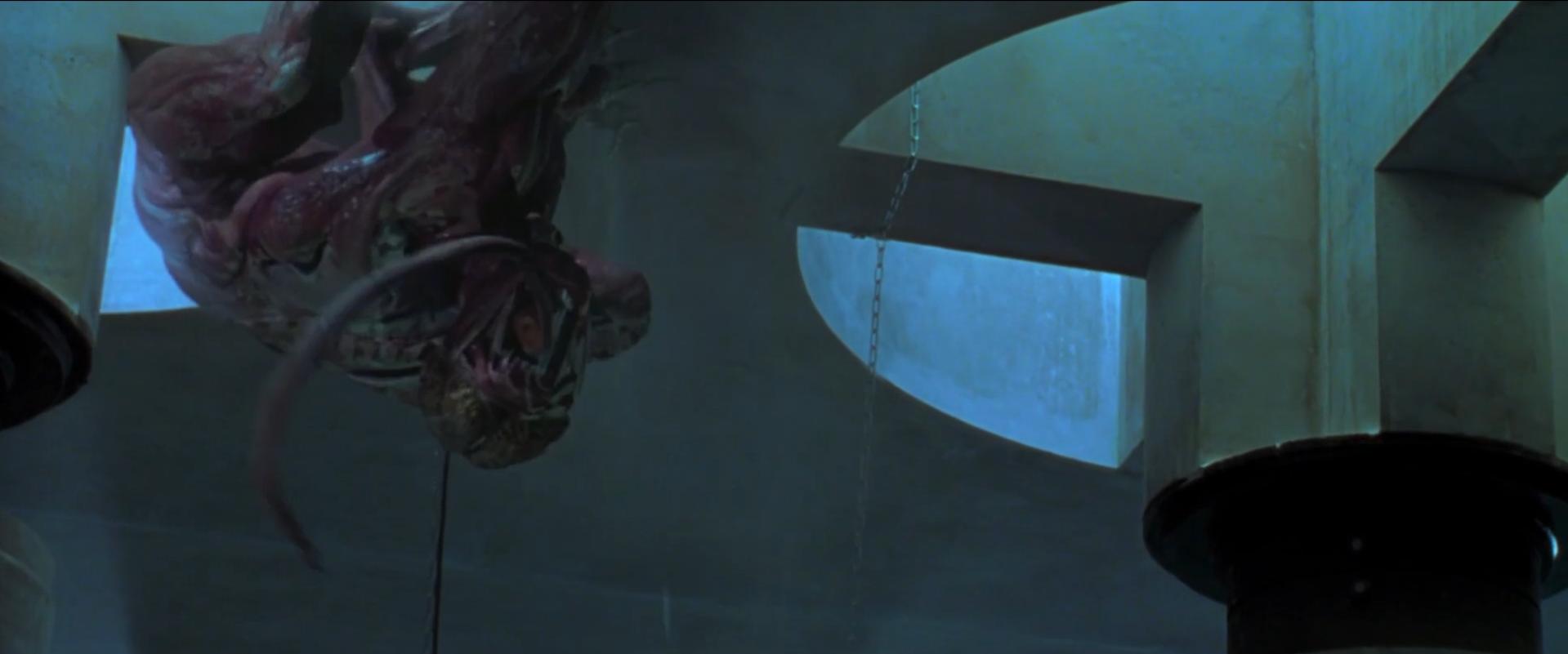 生化危机启示录视角,生化危机小知识