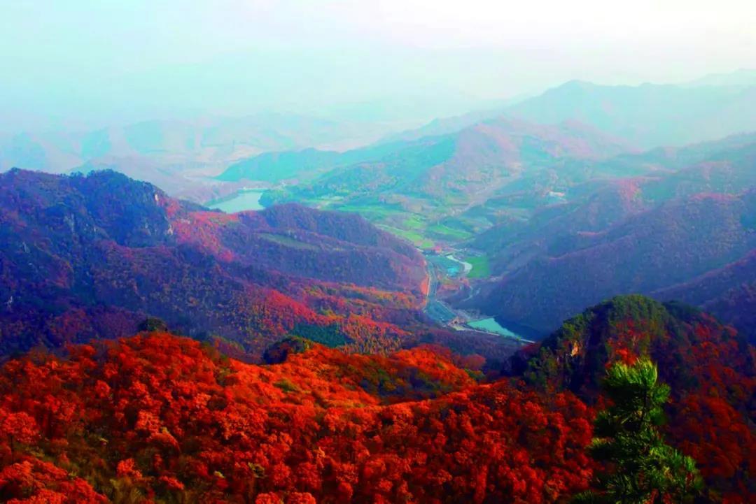 沈阳市新闻12月5日,沈阳新闻15日微博