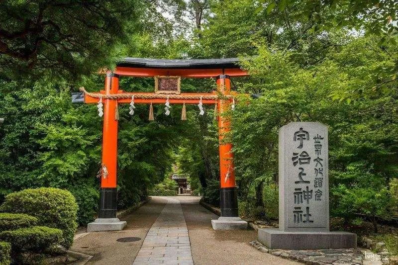 茶行业如何做营销,茶行业怎么经营更赚钱