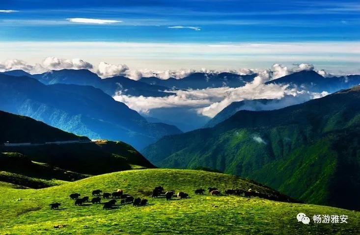 雅安4天旅游攻略最新版,五一去雅安的攻略