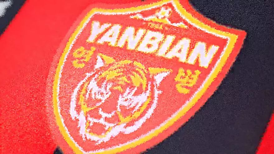 延边富德破产了球员怎么办,延边富德队是怎样解散的