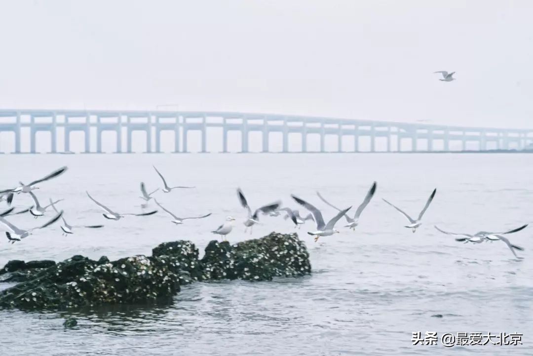北京到哈尔滨特价机票,北京出发最便宜的国际机票