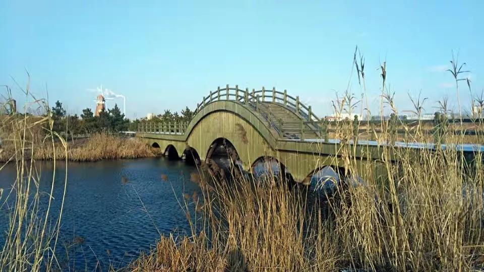 山东荣成定居好不好,外地人荣成落户条件