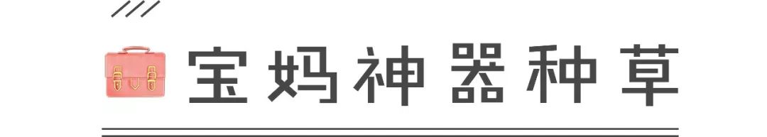 有趣翻包记|郑州这三位少女般的辣妈，包里装的都是啥？