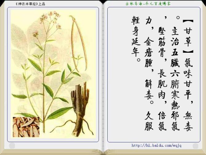 本草纲目中药讲解视频,本草纲目中药图谱及药理讲解