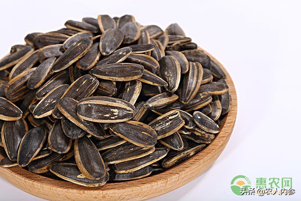 内蒙古葵花籽价格最新行情,菜籽油花生油葵花籽油多少钱一斤