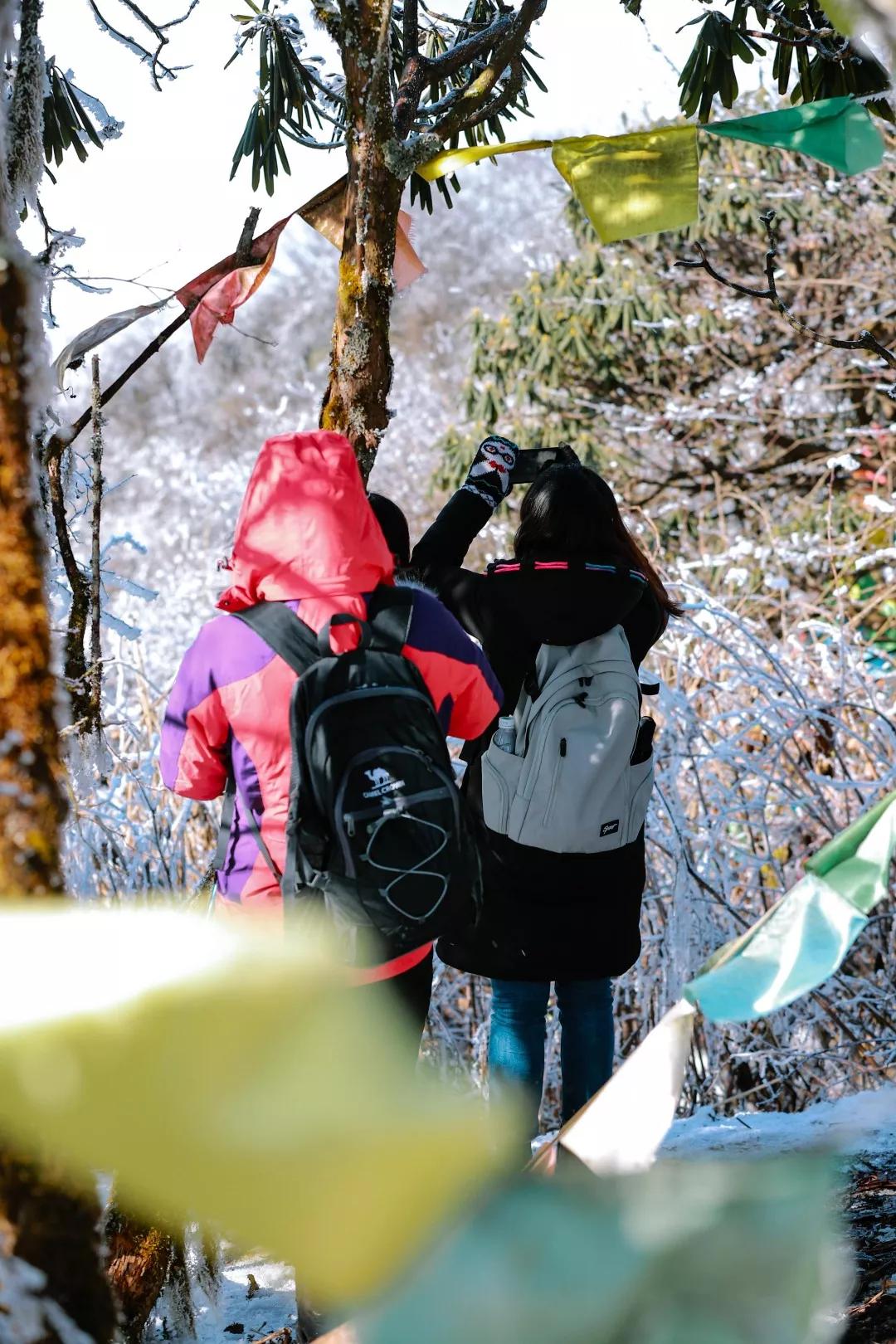 成都天台山景区自驾游攻略,成都天台山玩雪