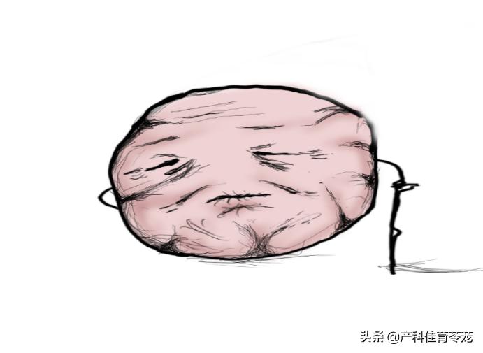 月经量少一定是雌激素低吗,月经量越来越少是卵巢功能衰退吗