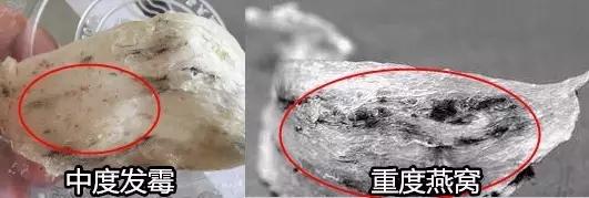 燕窝没放冰箱软了还有霉味,燕窝清洗了几次还是有霉味