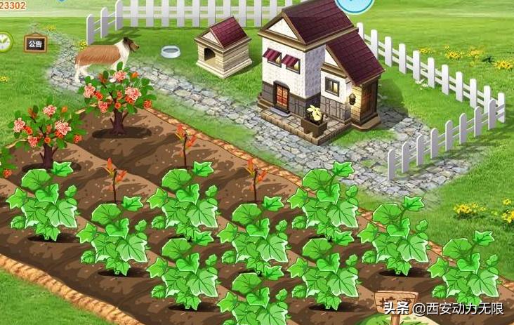 QQ帐号注销功能上线!今天你选择了注销账号吗?