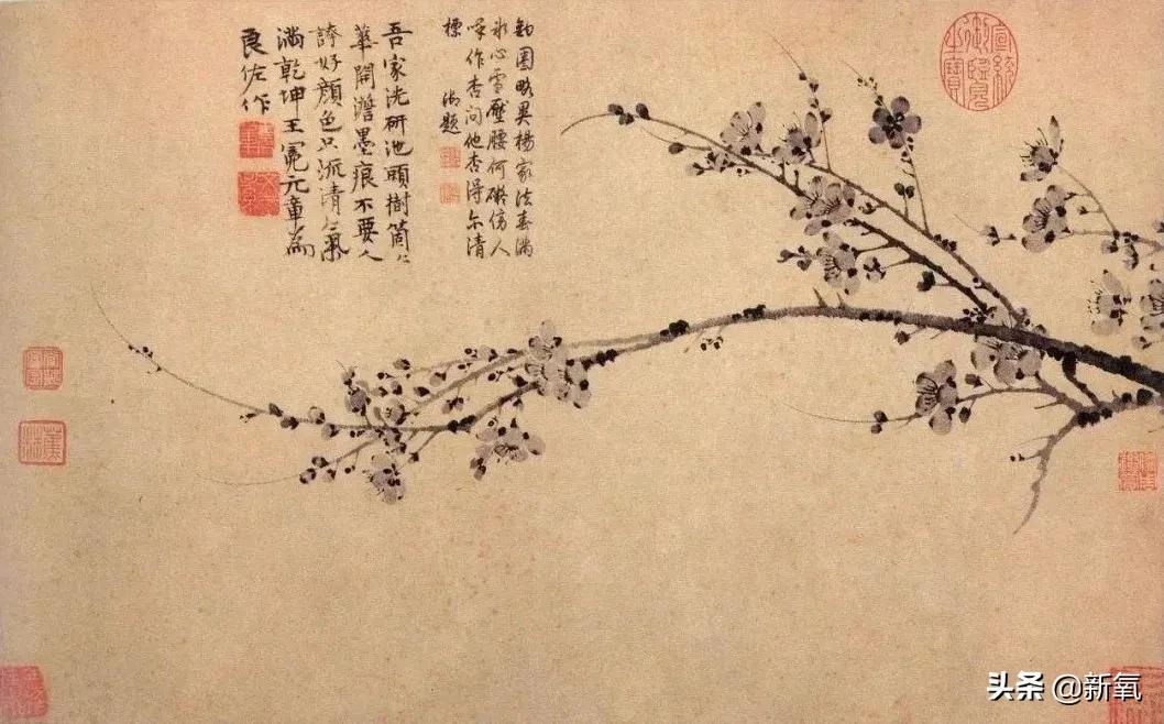 斛珠夫人美丽排行,斛珠夫人有多美