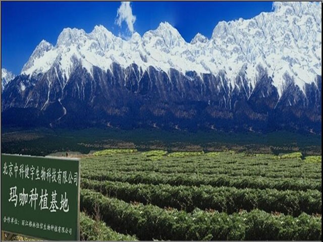 北医三院专家赵兵,赵兵中科院