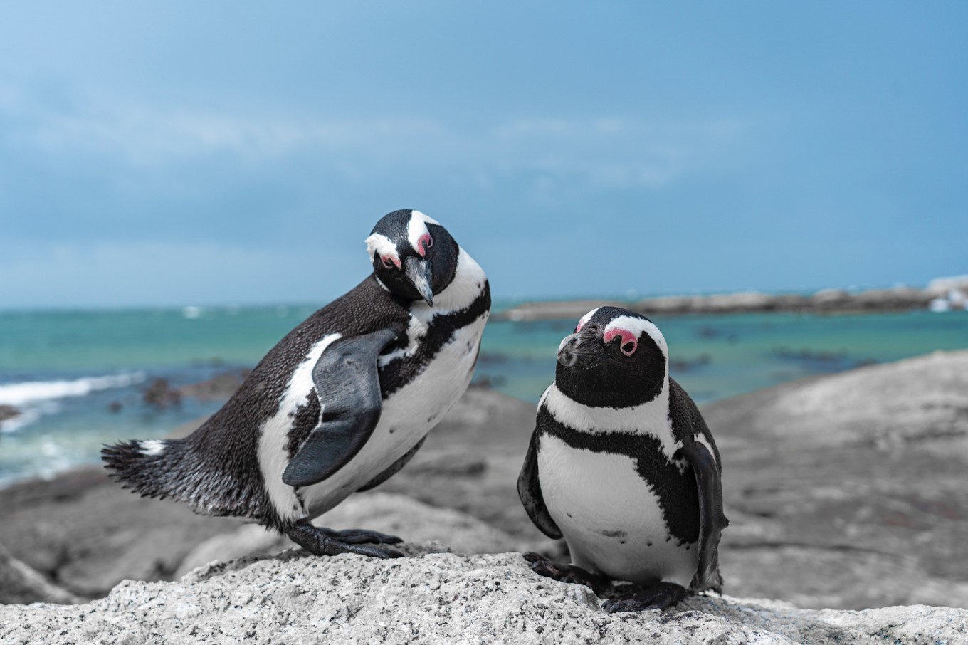 南非自驾游,南非自驾游最新