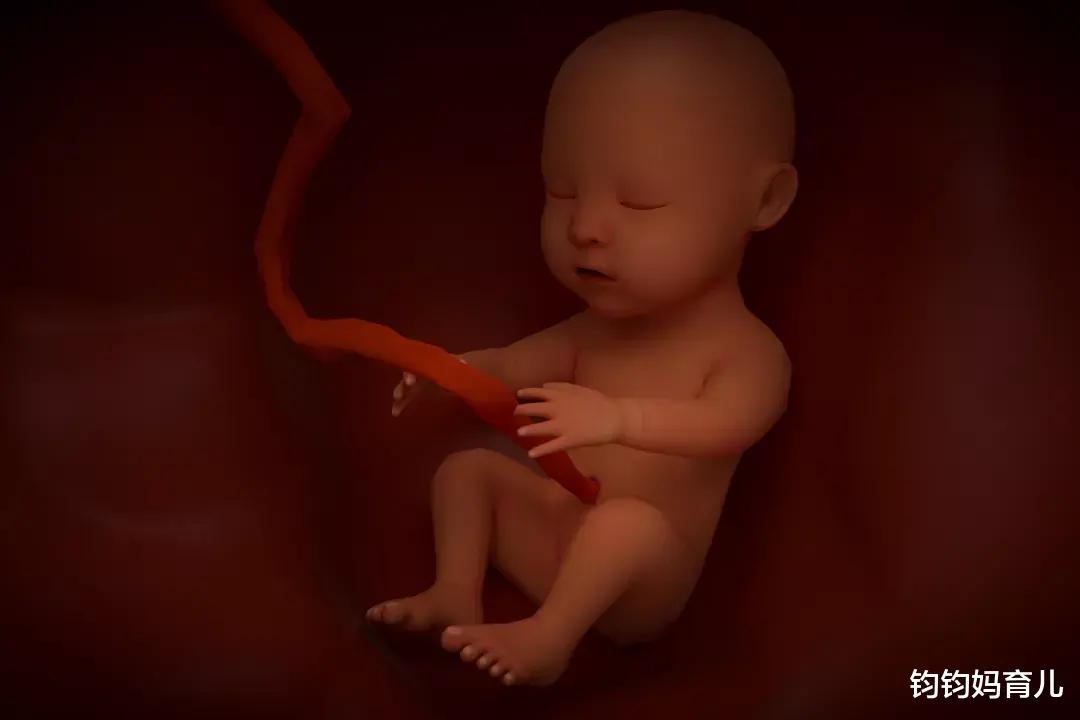 宝宝脐带绕颈怎么办,脐带绕颈的孩子命运