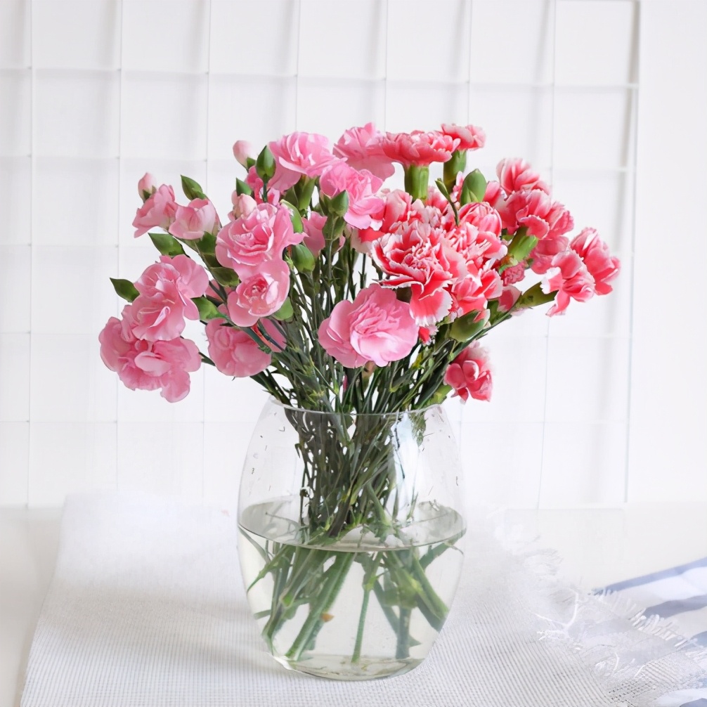 你准备好了吗幼儿版,你的康乃馨准备好了吗