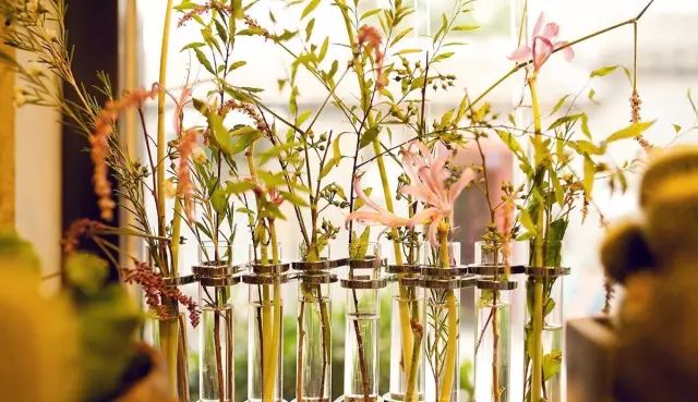 杨澜专访张艾嘉,杨澜采访张艾嘉