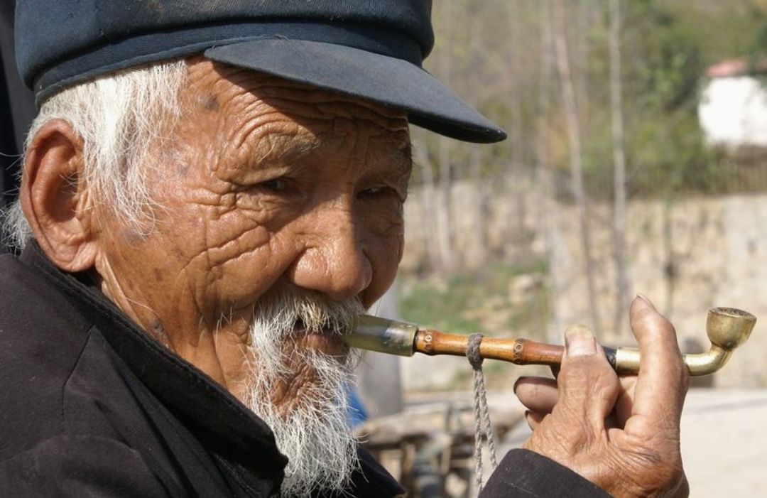 丢狗找狗的故事,丢两条小狗的故事