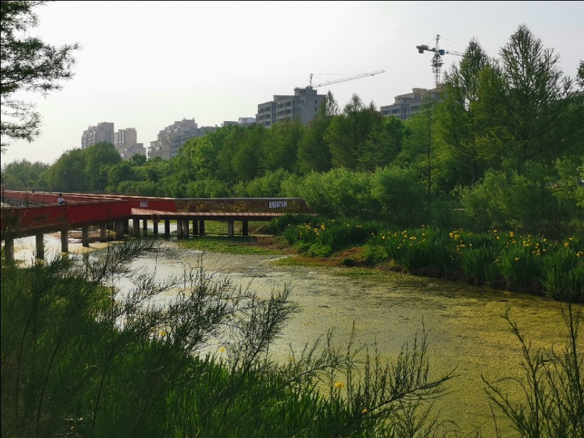 山东莒县重点发展,莒县近五年发展变化