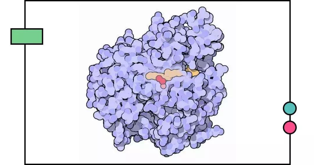 最不值得买的网红单品,永不回购的化妆品有哪些