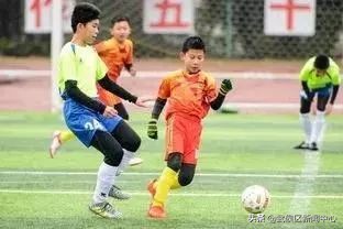 公共运动场地,成都室内大型运动场地