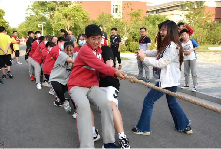 趣味运动会携手共进视频,趣味运动会携手同行