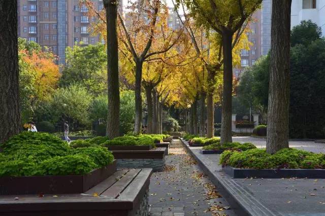 上海回不去的青春,上海市建平中学老照片