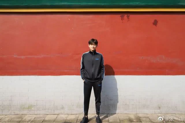 张一山和杨紫走到一起了吗,张一山和杨紫最后在一起了吗