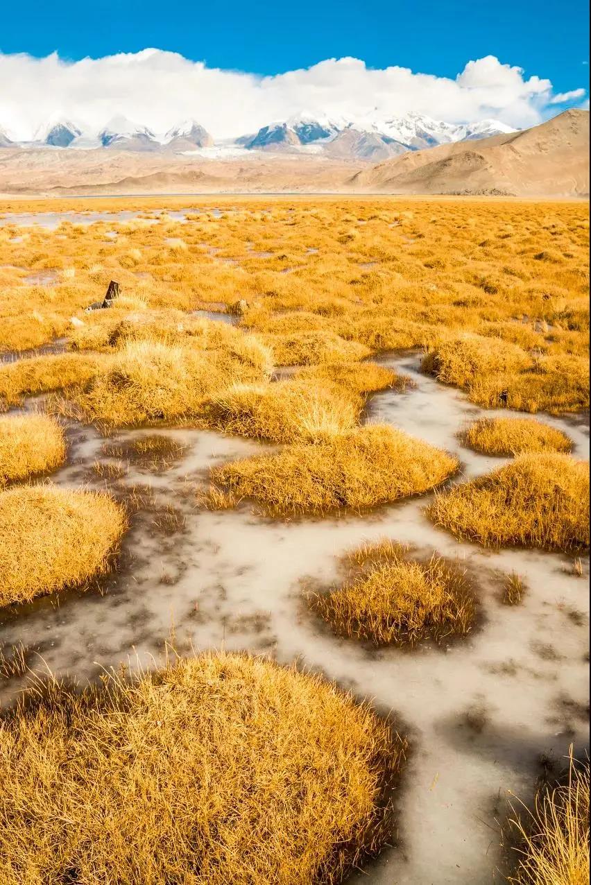 终于攒够了年假,年假怎么攒