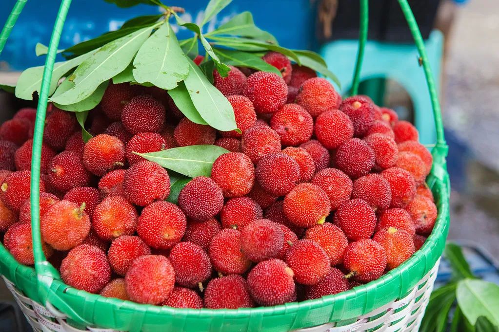 你吃过蘸酱油的杨梅吗,杨梅吃法蘸盐