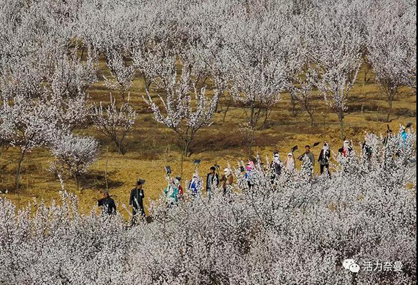 45万奈曼人的名片,太漂亮了!除了中华麦饭石你还知多少?