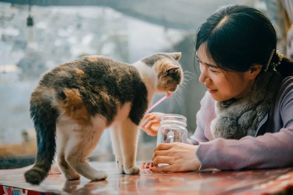 裙裾飞扬完整句子,裙裾飞扬下半句