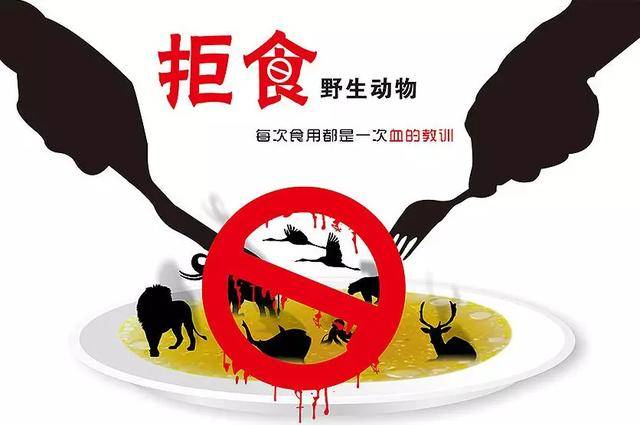 三种野生蝙蝠不能吃,十大不能吃的野生蝙蝠