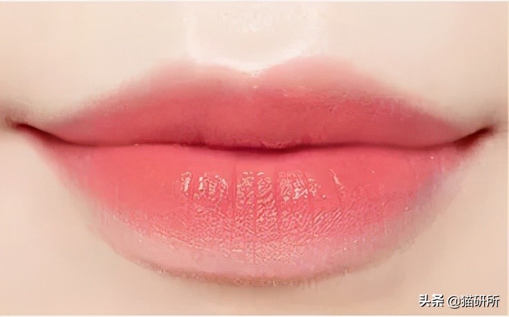 猫咪会笑吗表情,猫咪会笑