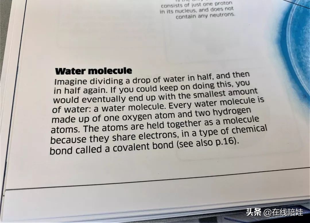 dk知识大百科全套,dk知识大百科书金银版