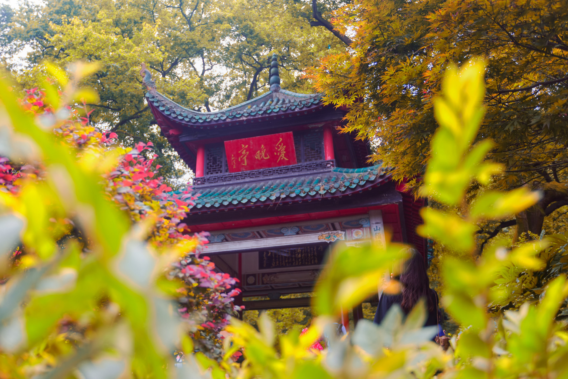 50首最美诗,三十六首桃花诗词惊艳了整个春天