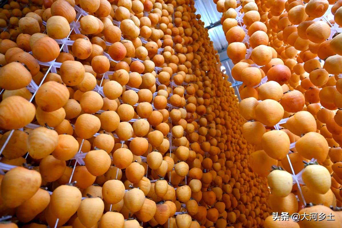 儿子从大企业辞职回乡卖“金饼”,父亲脸上笑开花:一年挣几十万