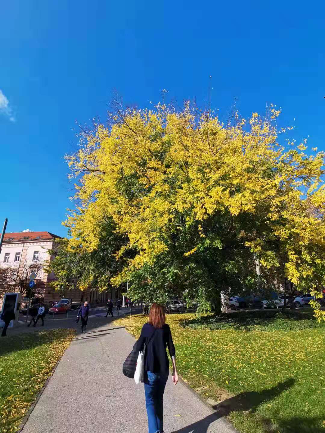 Day58：威尼斯→萨格勒布海一样蓝的有轨电车